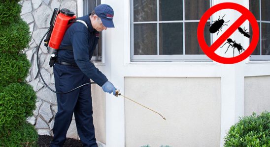 Gümüşhacıköy Gümüşkurt İlaçlama böcek ilaçlama ve haşere kontrolü — ilaclama-tr.com